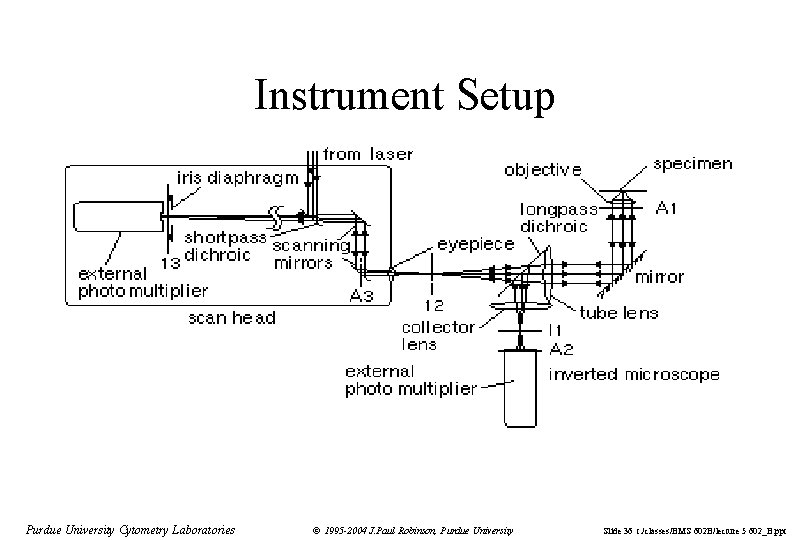 Instrument Setup Purdue University Cytometry Laboratories © 1995 -2004 J. Paul Robinson, Purdue University