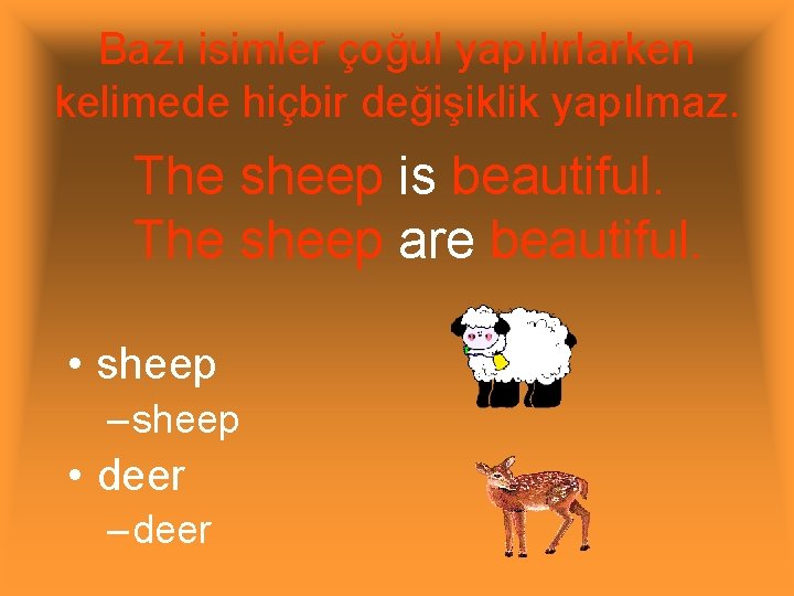 Bazı isimler çoğul yapılırlarken kelimede hiçbir değişiklik yapılmaz. The sheep is beautiful. The sheep