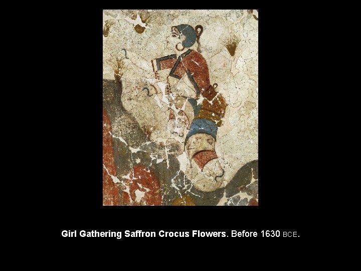 Girl Gathering Saffron Crocus Flowers. Before 1630 BCE. 