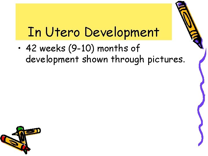 In Utero Development • 42 weeks (9 -10) months of development shown through pictures.