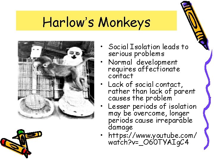 Harlow’s Monkeys • Social Isolation leads to serious problems • Normal development requires affectionate