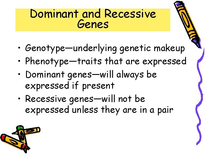 Dominant and Recessive Genes • Genotype—underlying genetic makeup • Phenotype—traits that are expressed •