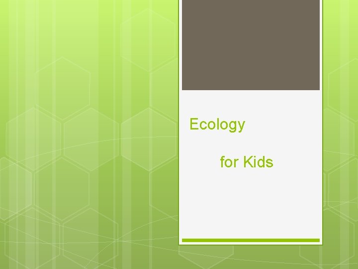 Ecology for Kids 