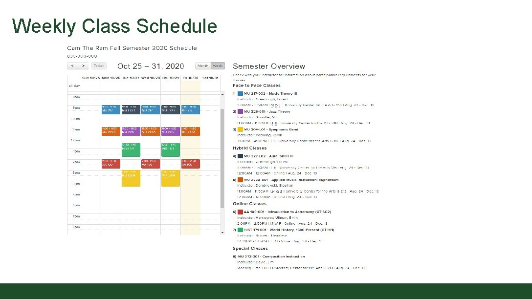 Weekly Class Schedule 