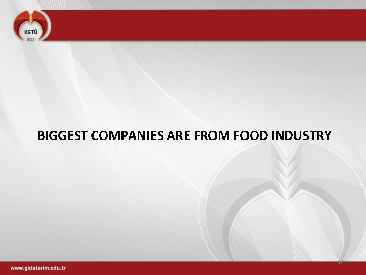 BIGGEST COMPANIES ARE FROM FOOD INDUSTRY 14 