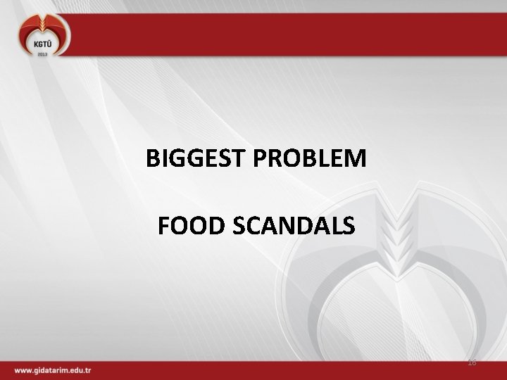 BIGGEST PROBLEM FOOD SCANDALS 16 