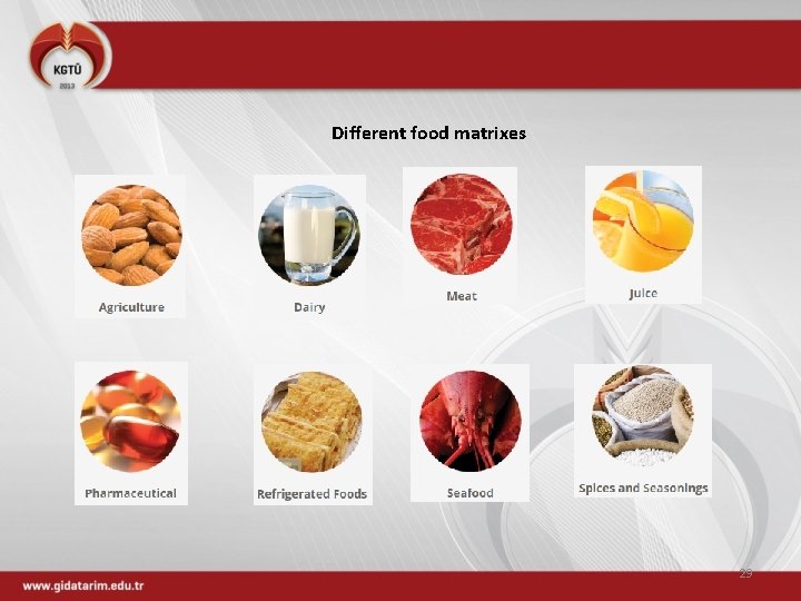 Different food matrixes 29 