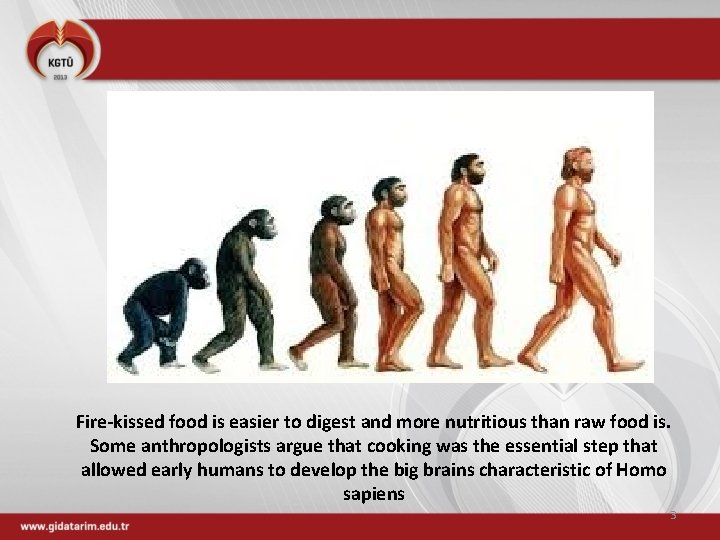 Fire-kissed food is easier to digest and more nutritious than raw food is. Some