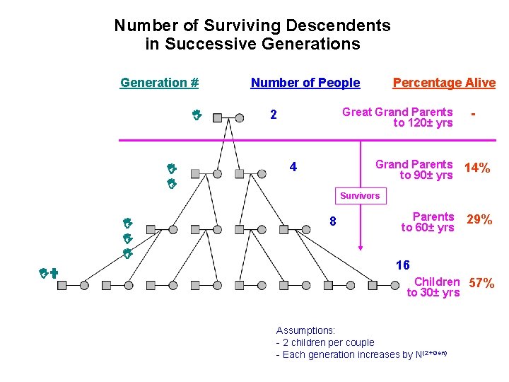 Number of Surviving Descendents in Successive Generations Generation # I I I IV Number
