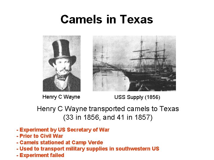 Camels in Texas Henry C Wayne USS Supply (1856) Henry C Wayne transported camels
