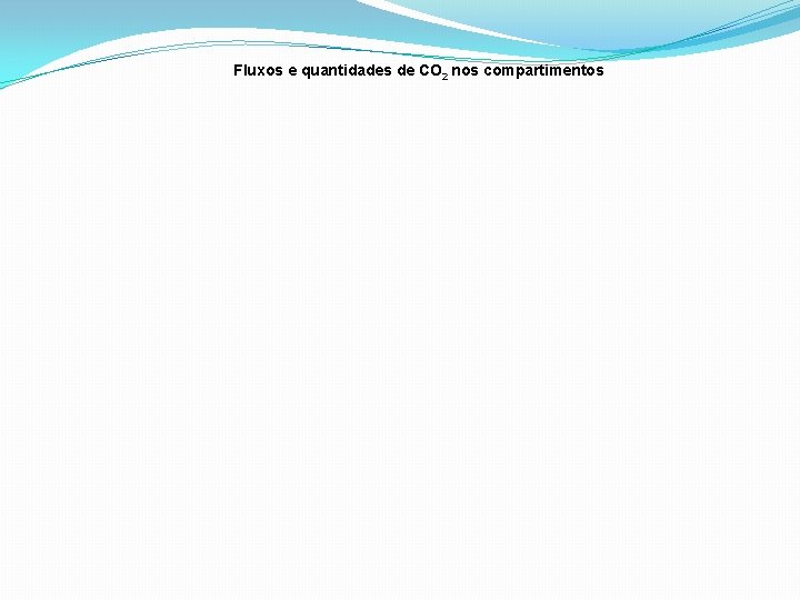 Fluxos e quantidades de CO 2 nos compartimentos 