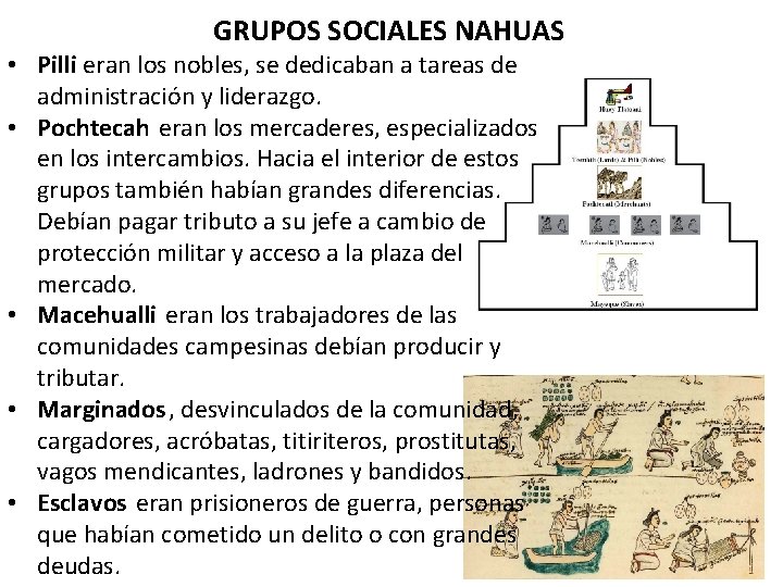 GRUPOS SOCIALES NAHUAS • Pilli eran los nobles, se dedicaban a tareas de administración