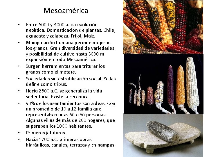 Mesoamérica • • Entre 5000 y 3000 a. c. revolución neolítica. Domesticación de plantas.