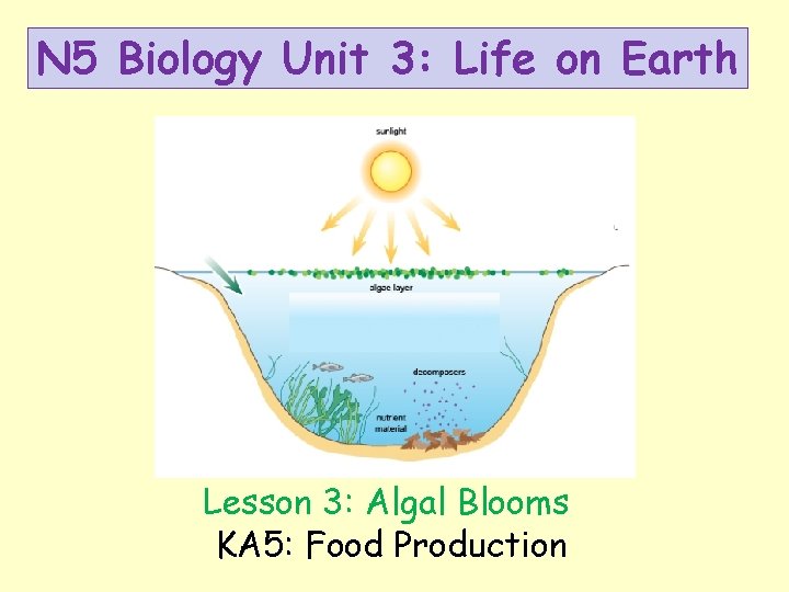 N 5 Biology Unit 3: Life on Earth Lesson 3: Algal Blooms KA 5: