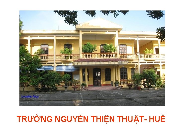 TRƯỜNG NGUYỄN THIỆN THUẬT- HUẾ 