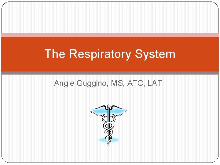 The Respiratory System Angie Guggino, MS, ATC, LAT The Respiratory System Angie Guggino, MS, ATC, LAT