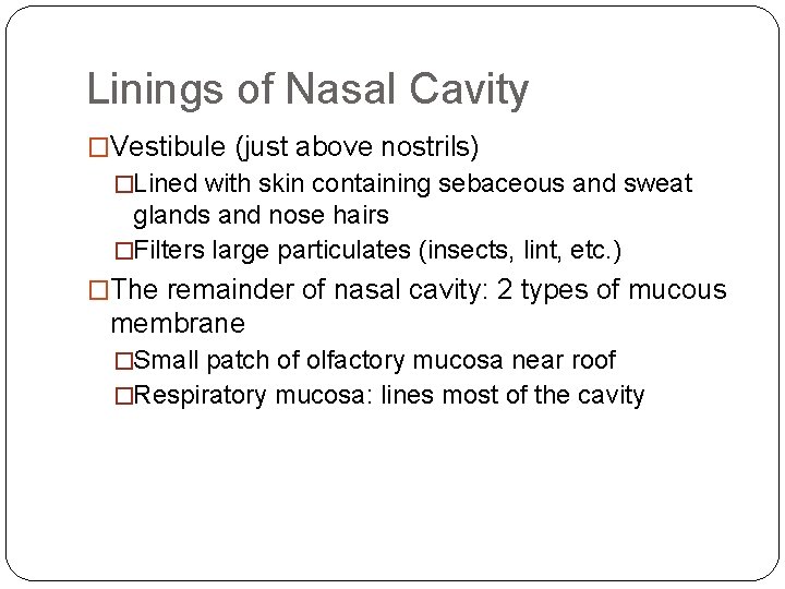 Linings of Nasal Cavity �Vestibule (just above nostrils) �Lined with skin containing sebaceous and Linings of Nasal Cavity �Vestibule (just above nostrils) �Lined with skin containing sebaceous and