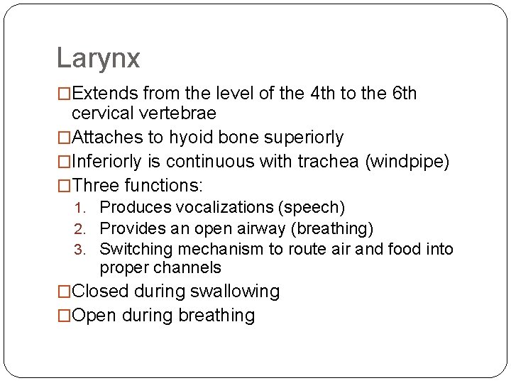 Larynx �Extends from the level of the 4 th to the 6 th cervical Larynx �Extends from the level of the 4 th to the 6 th cervical