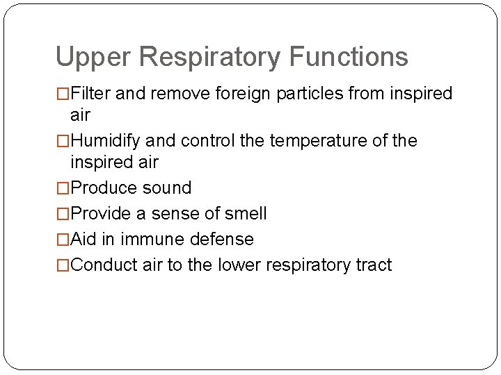 Upper Respiratory Functions �Filter and remove foreign particles from inspired air �Humidify and control Upper Respiratory Functions �Filter and remove foreign particles from inspired air �Humidify and control