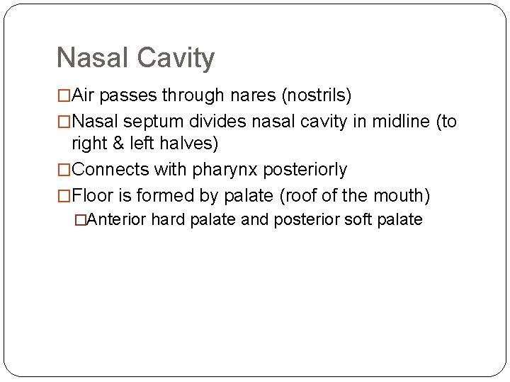 Nasal Cavity �Air passes through nares (nostrils) �Nasal septum divides nasal cavity in midline Nasal Cavity �Air passes through nares (nostrils) �Nasal septum divides nasal cavity in midline