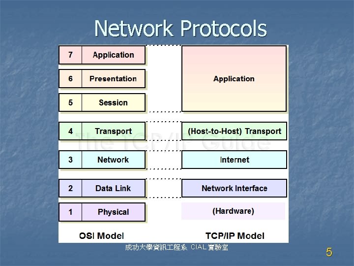 Network Protocols 成功大學資訊 程系 CIAL 實驗室 5 