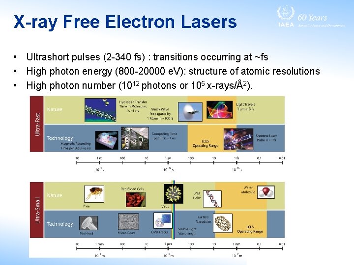 X-ray Free Electron Lasers • Ultrashort pulses (2 -340 fs) : transitions occurring at