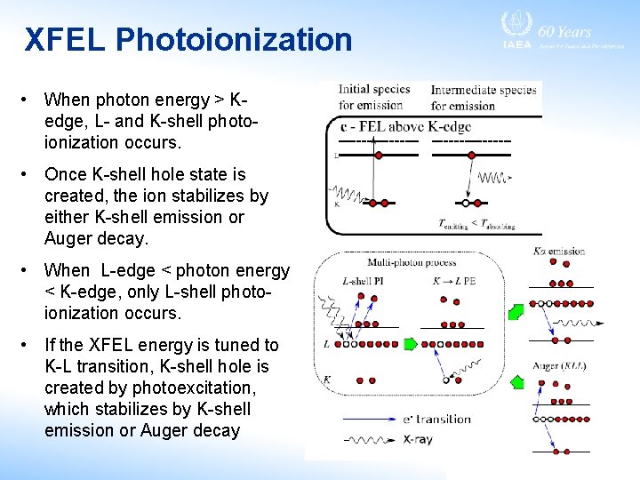 XFEL Photoionization • When photon energy > Kedge, L- and K-shell photoionization occurs. •