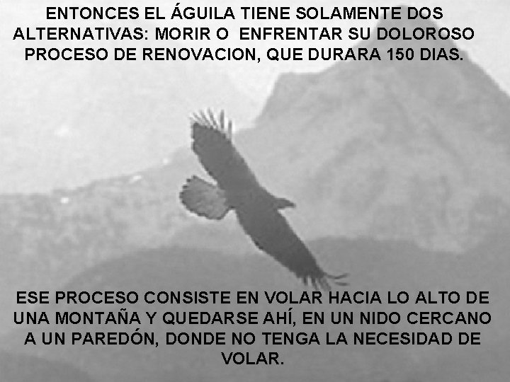 ENTONCES EL ÁGUILA TIENE SOLAMENTE DOS ALTERNATIVAS: MORIR O ENFRENTAR SU DOLOROSO PROCESO DE
