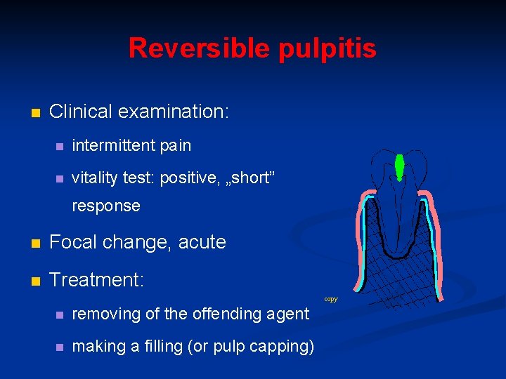 Reversible pulpitis n Clinical examination: n intermittent pain n vitality test: positive, „short” response