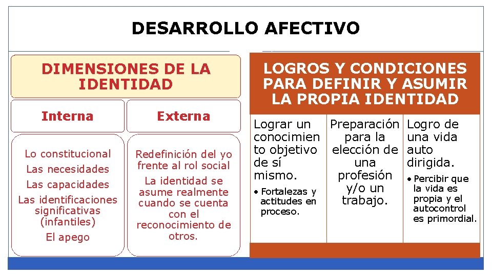DESARROLLO AFECTIVO DIMENSIONES DE LA IDENTIDAD Interna Externa Lo constitucional Las necesidades Las capacidades