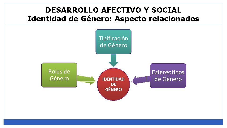 DESARROLLO AFECTIVO Y SOCIAL Identidad de Género: Aspecto relacionados Tipificación de Género Roles de