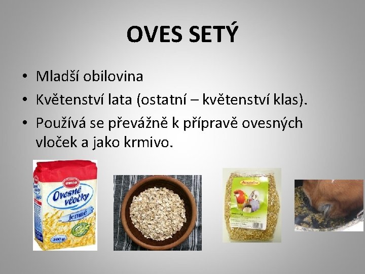 OVES SETÝ • Mladší obilovina • Květenství lata (ostatní – květenství klas). • Používá