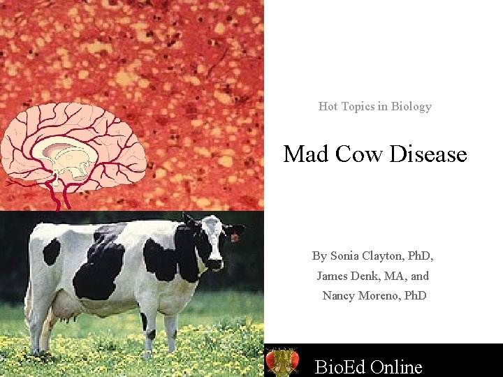 Hot Topics in Biology Mad Cow Disease By Sonia Clayton, Ph. D, James Denk,