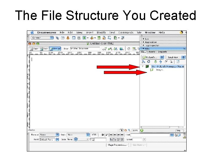 The File Structure You Created 