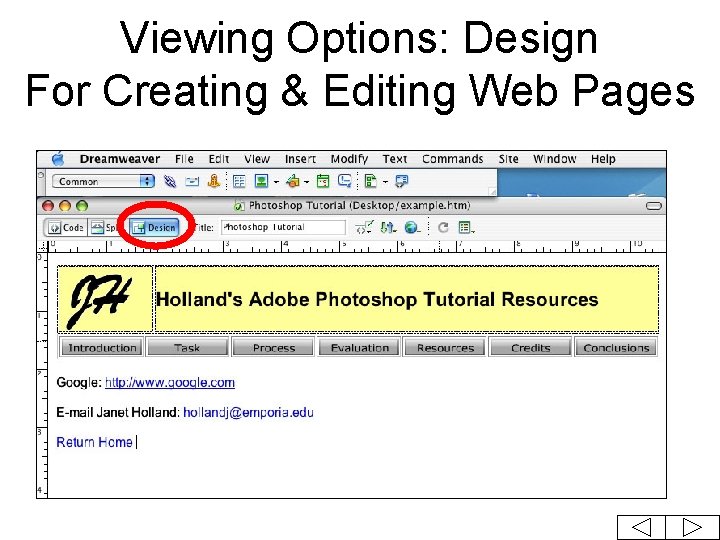 Viewing Options: Design For Creating & Editing Web Pages 