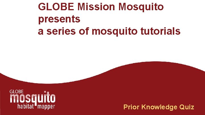 GLOBE Mission Mosquito presents a series of mosquito tutorials Prior Knowledge Quiz 