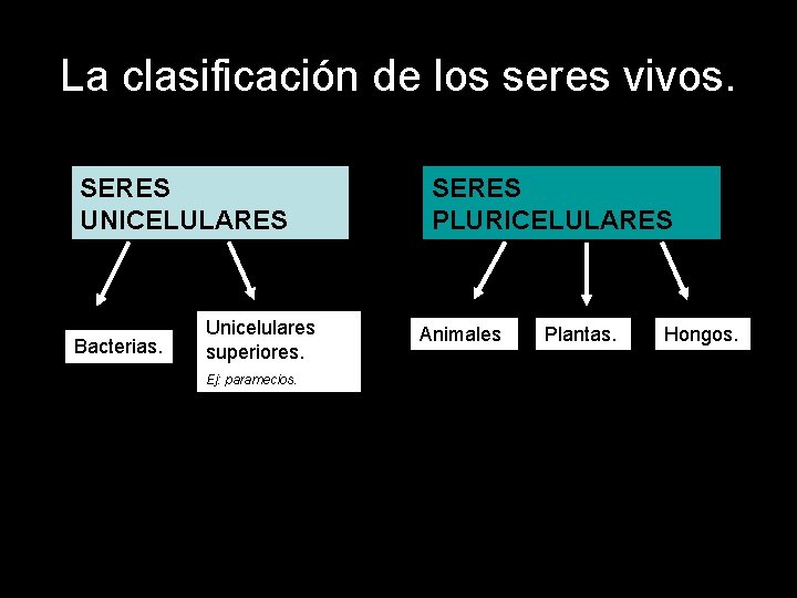 La clasificación de los seres vivos. SERES UNICELULARES Bacterias. Unicelulares superiores. Ej: paramecios. SERES