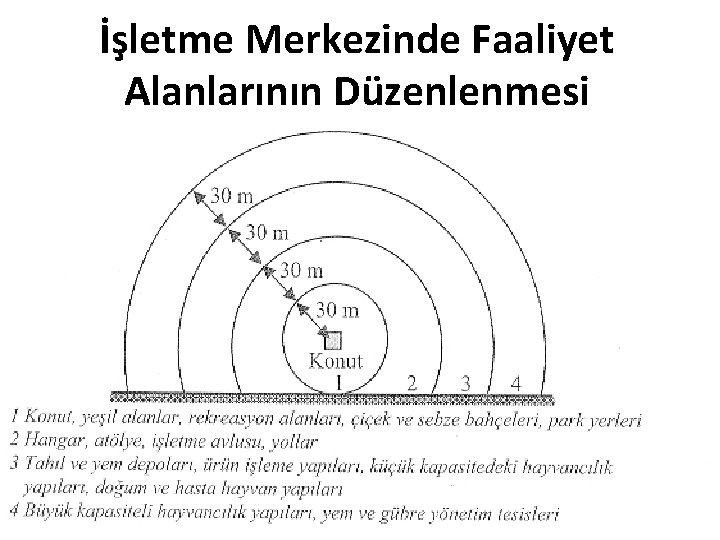 İşletme Merkezinde Faaliyet Alanlarının Düzenlenmesi 