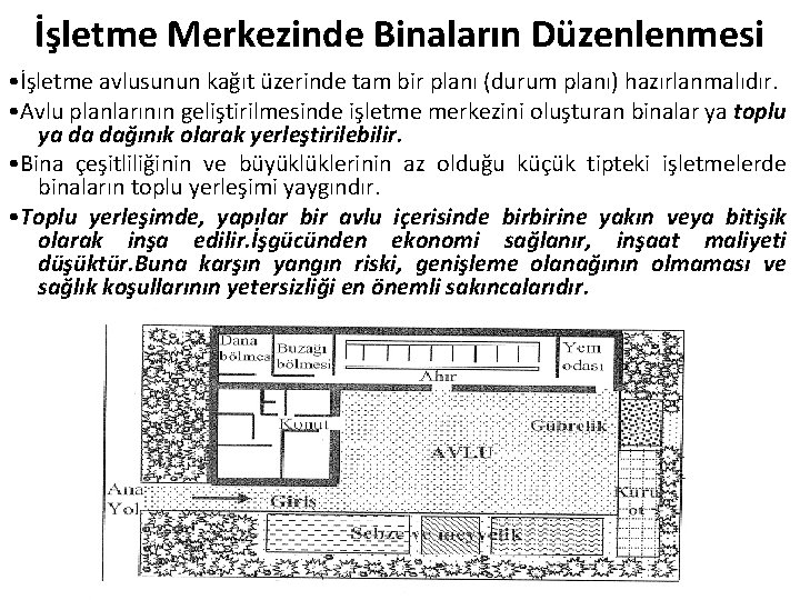 İşletme Merkezinde Binaların Düzenlenmesi • İşletme avlusunun kağıt üzerinde tam bir planı (durum planı)