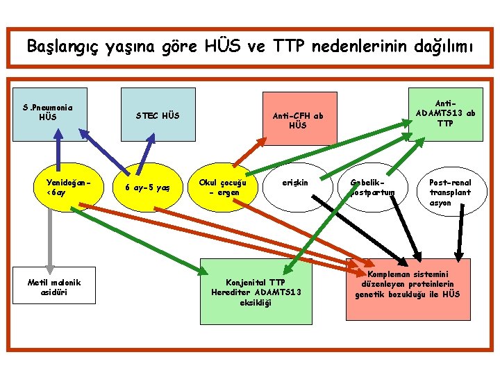 Başlangıç yaşına göre HÜS ve TTP nedenlerinin dağılımı S. Pneumonia HÜS Yenidoğan<6 ay Metil