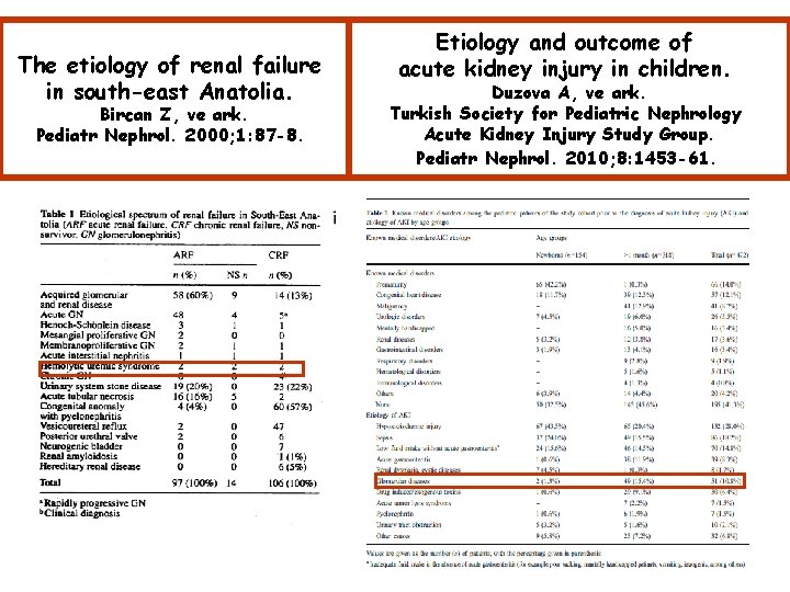 The etiology of renal failure in south-east Anatolia. Bircan Z, ve ark. Pediatr Nephrol.