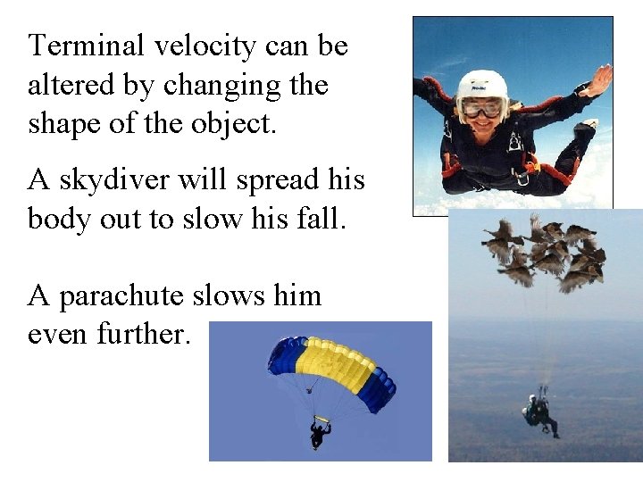 Terminal velocity can be altered by changing the shape of the object. A skydiver