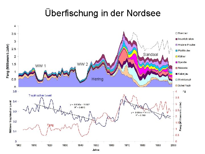 Überfischung in der Nordsee Sandaal WW 1 WW 2 Hering 