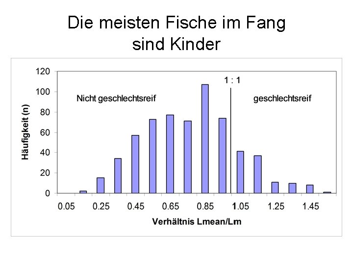 Die meisten Fische im Fang sind Kinder 