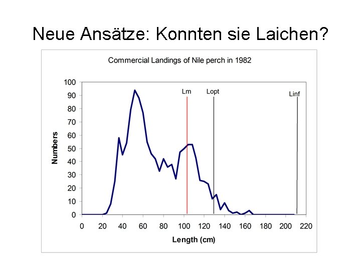 Neue Ansätze: Konnten sie Laichen? 