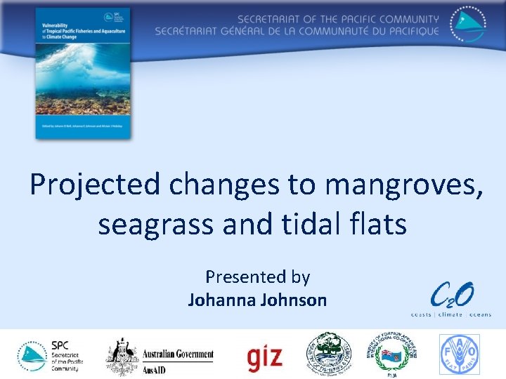 Projected changes to mangroves, seagrass and tidal flats Presented by Johanna Johnson 