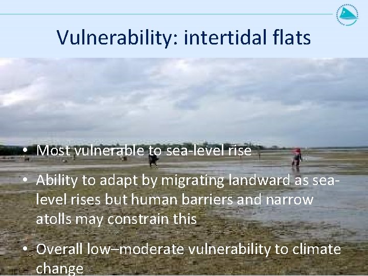 Vulnerability: intertidal flats • Most vulnerable to sea-level rise • Ability to adapt by