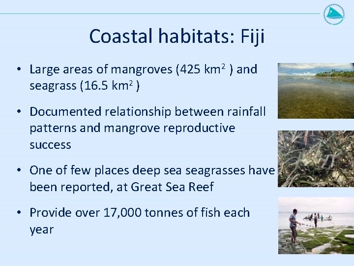 Coastal habitats: Fiji • Large areas of mangroves (425 km 2 ) and seagrass