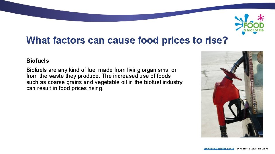 What factors can cause food prices to rise? Biofuels are any kind of fuel