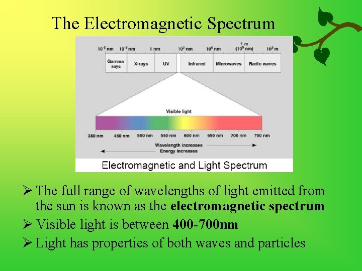 The Electromagnetic Spectrum Ø The full range of wavelengths of light emitted from the